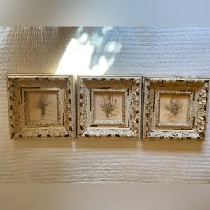 Set of 3 Heavy Botanical Prints—look like paintings—Lavender, Rosemary, Chives